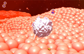 Insights Into Blood-Forming Stem Cells